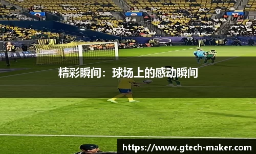 完美体育·WM